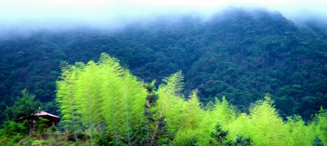 20100518090357992
