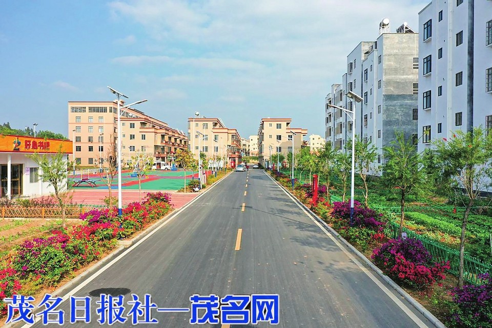 我市乡村治理示范村镇创建成效显著