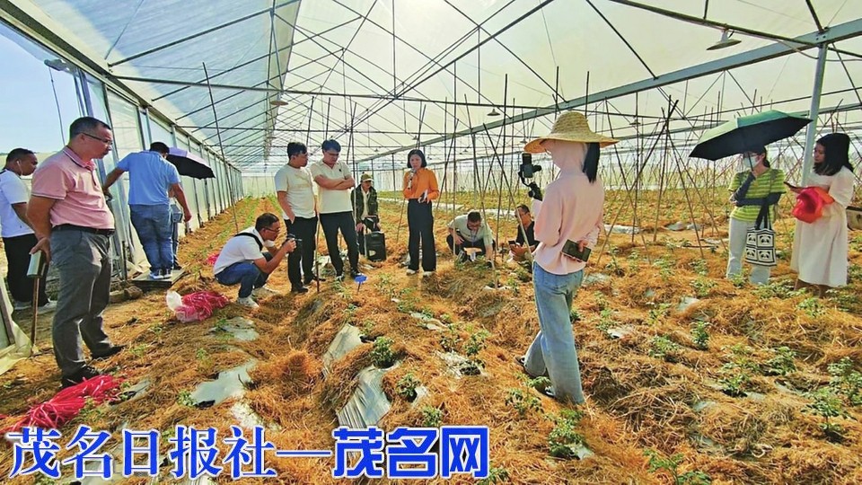 茂南區舉辦2024年基層農技員培訓班