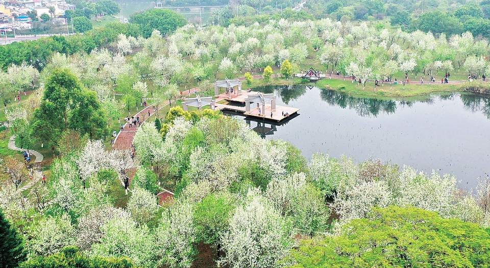 来肇庆赴一场赏花之约