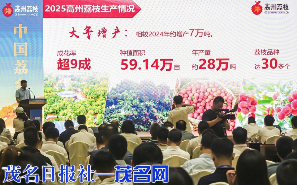 2025高州荔枝产销对接大会暨高州荔枝定制活动成功举办