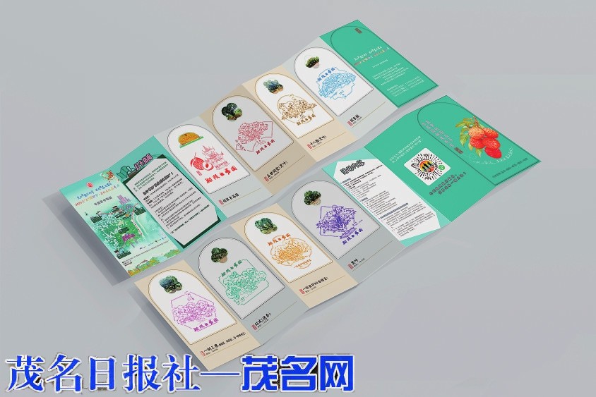 2025亮“荔”缤纷行·荔枝文化嘉年华周六举行今起领物料