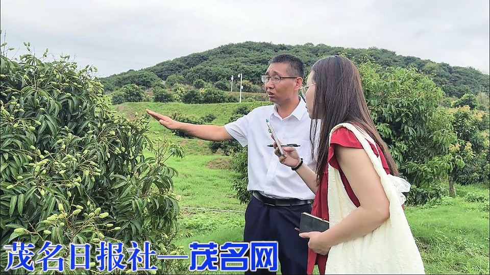 ​探寻茂名荔枝基因密码：探访国家荔枝种质资源圃创新之路