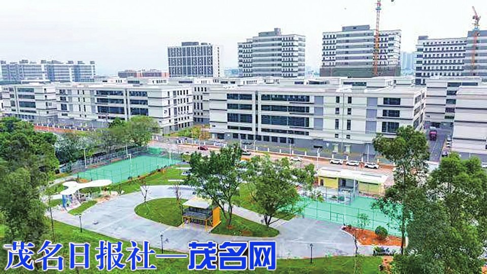 传统产业焕新 新兴赛道崛起
