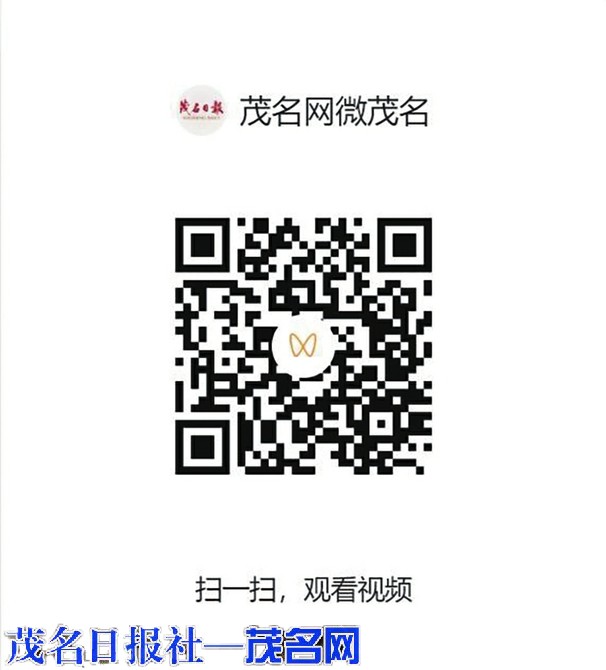 ​袂花江畔竞龙舟 百年传承展新姿——专访茂南鳌头镇龙舟协会会长张钦