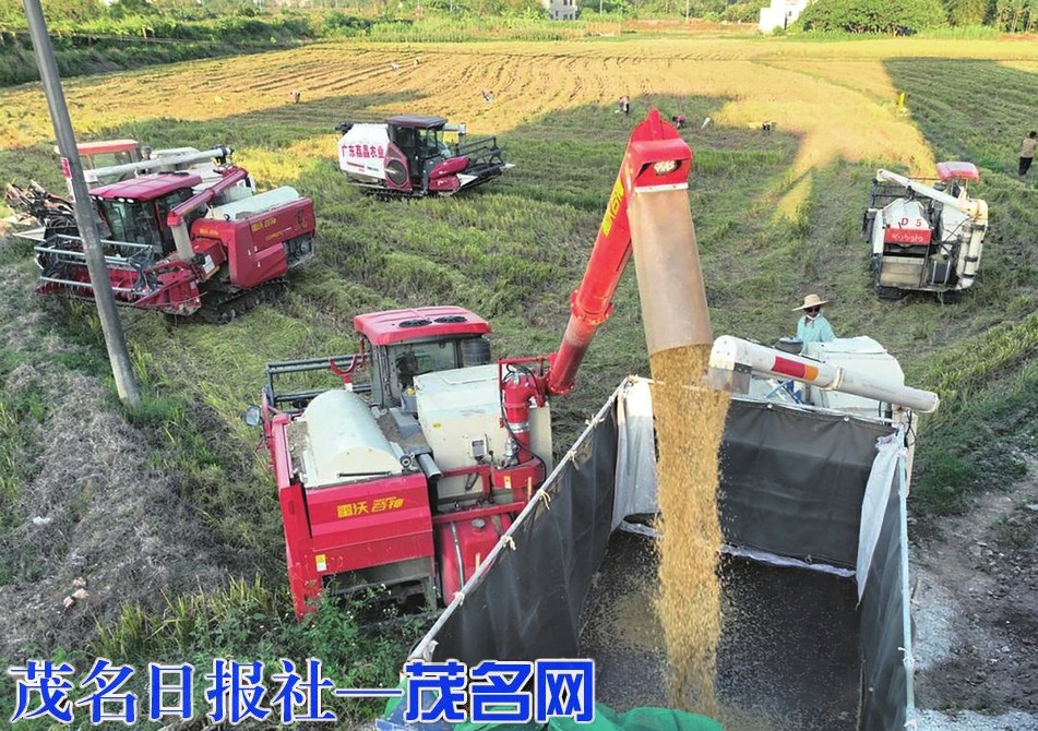 “万亩方”让土地“生金”村庄“焕颜”产业“成势”
