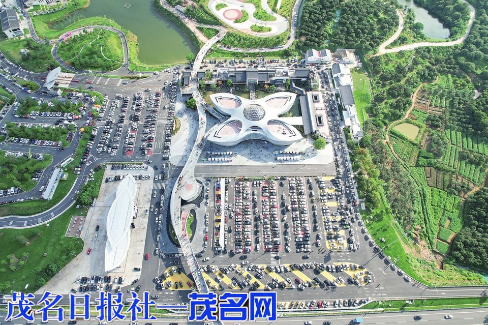 柏桥服务区端午单日客流达9万人次