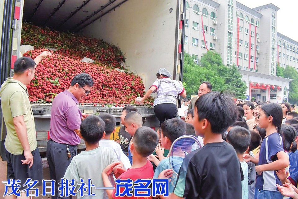 湖南一学校派专车采购2万斤茂名荔枝 万余师生共享“励志”甜蜜盛宴