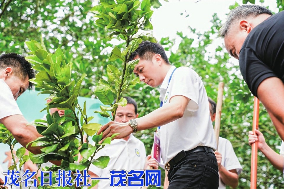 以“侠者之道”闯荡化橘橘红大健康“江湖”