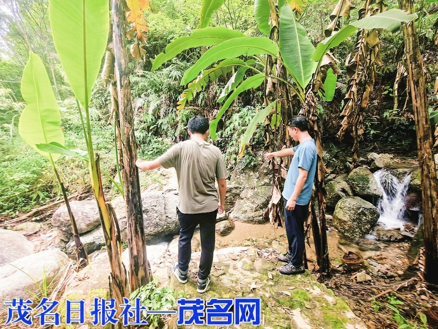 云開山保護區落實措施全力防御臺風“韋帕”