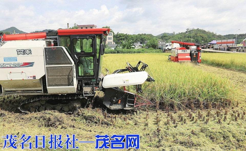 現場展示還田技術獲省農科院專家肯定