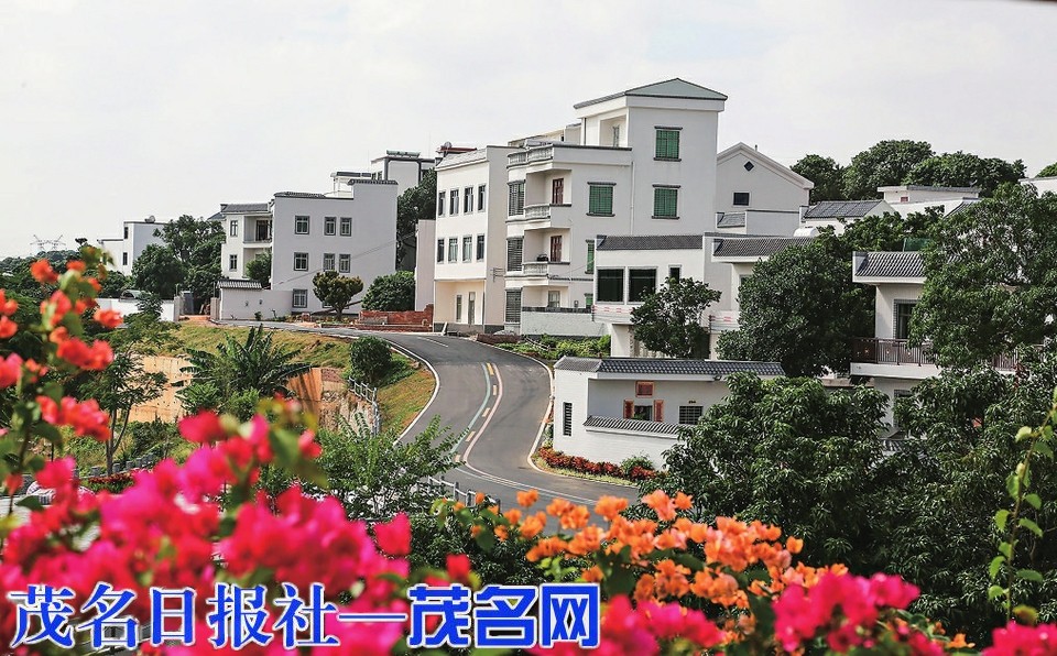 奋力打造“两山”转化的“绿美生态走廊”