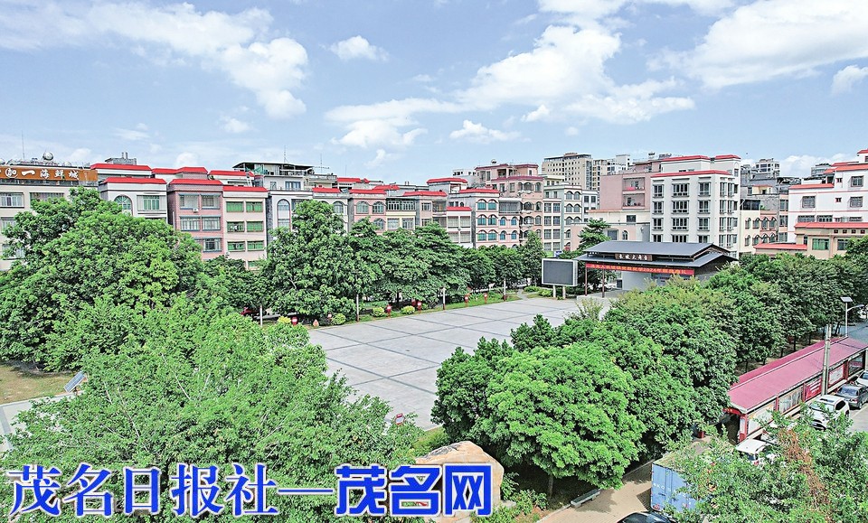 ​我市不断厚植圩镇风貌的绿美底色