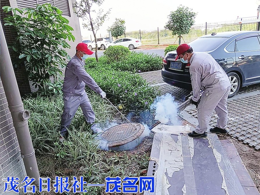 我市多措并举筑牢基孔肯雅热、登革热防控防线