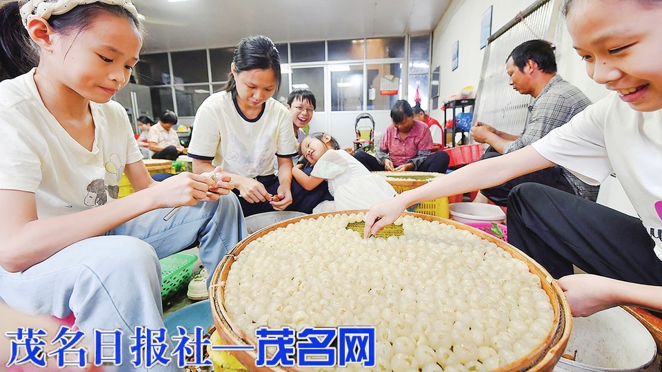 从“金牌鲜果”到“优质桂圆”