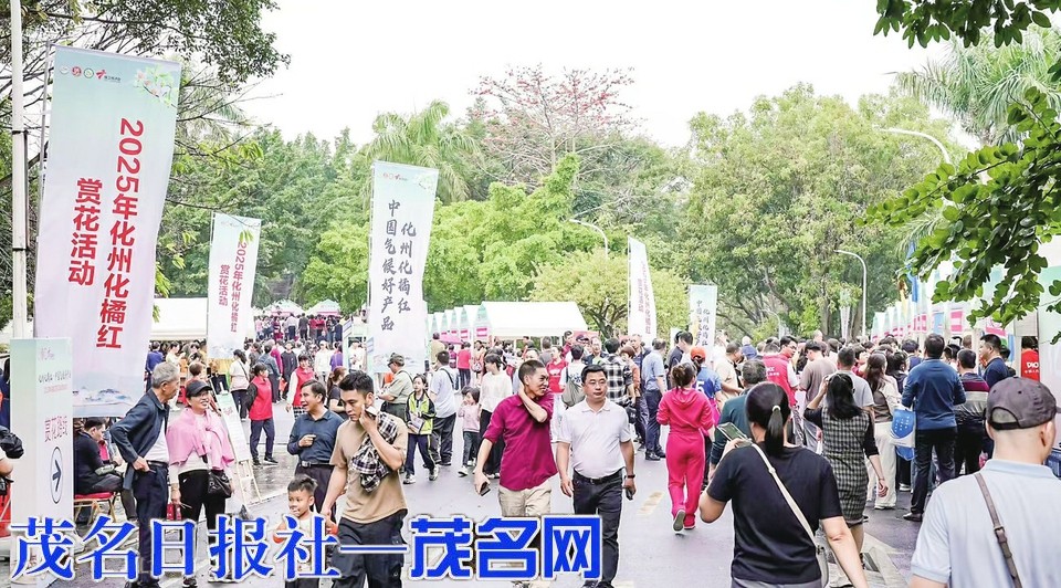 化州化橘红全链升级 “小特产”做成百亿大产业