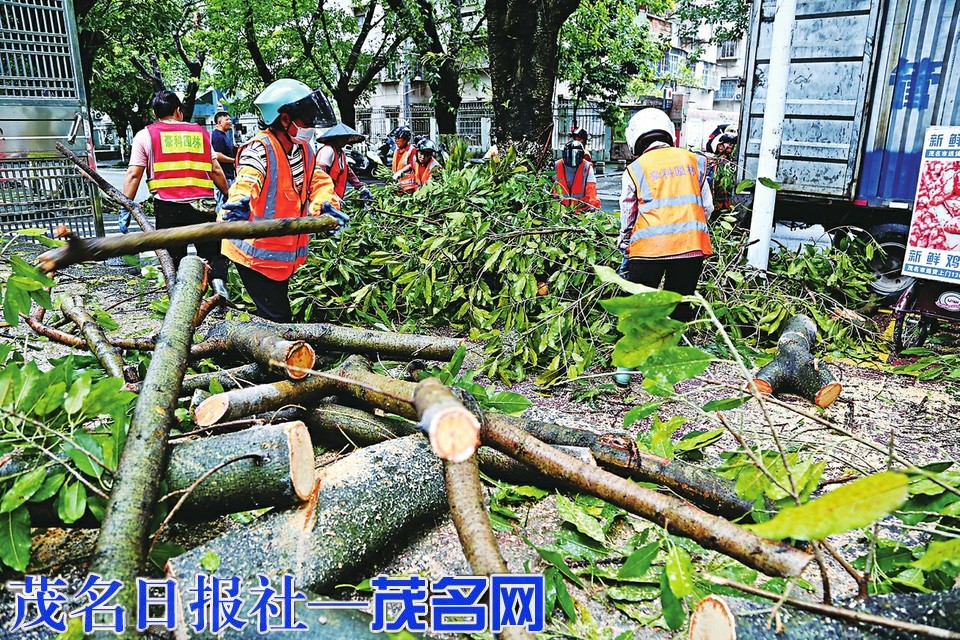 市区迅速恢复正常生活秩序