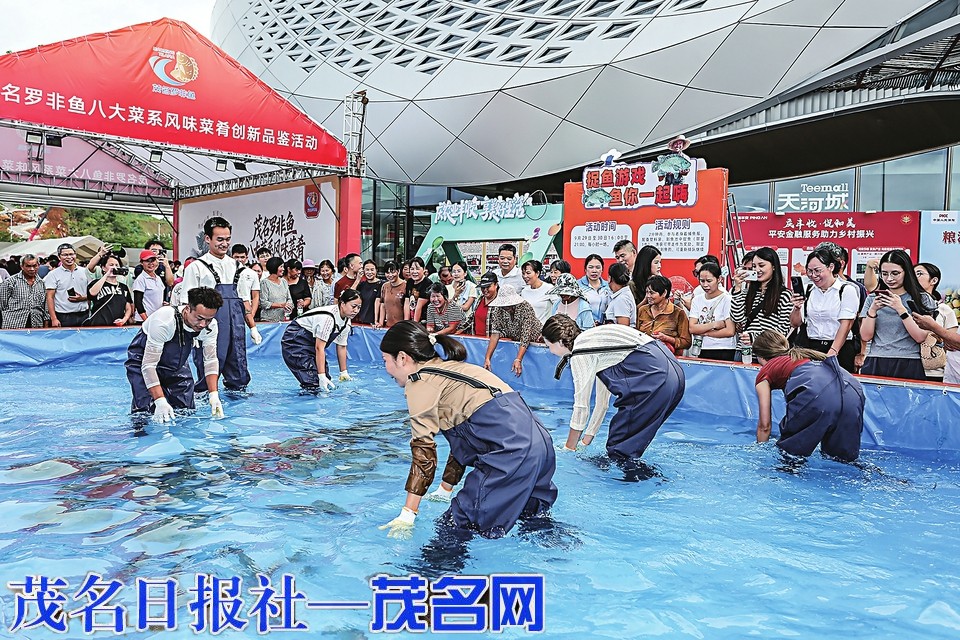 共享丰收硕果 “鱼”乐美荔天地