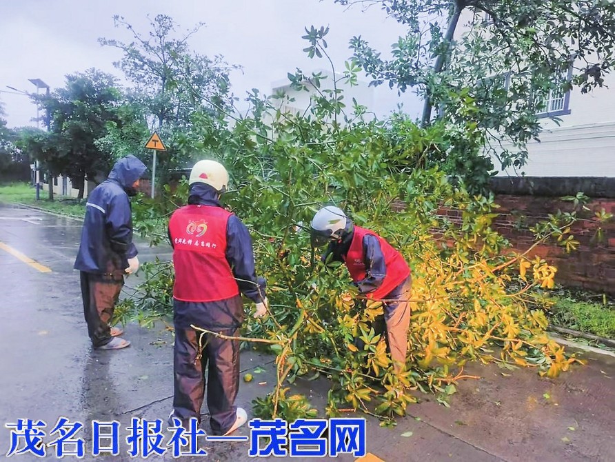 茂南区各镇（街）积极行动 筑牢台风“麦德姆”防御屏障