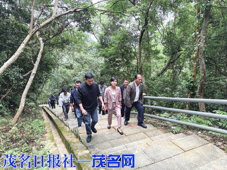 ​2025茂名浮山岭重阳登高活动即将启幕