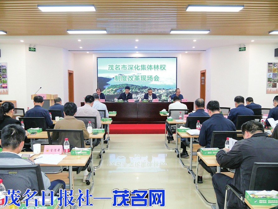 我市召开深化集体林权制度改革现场推进会