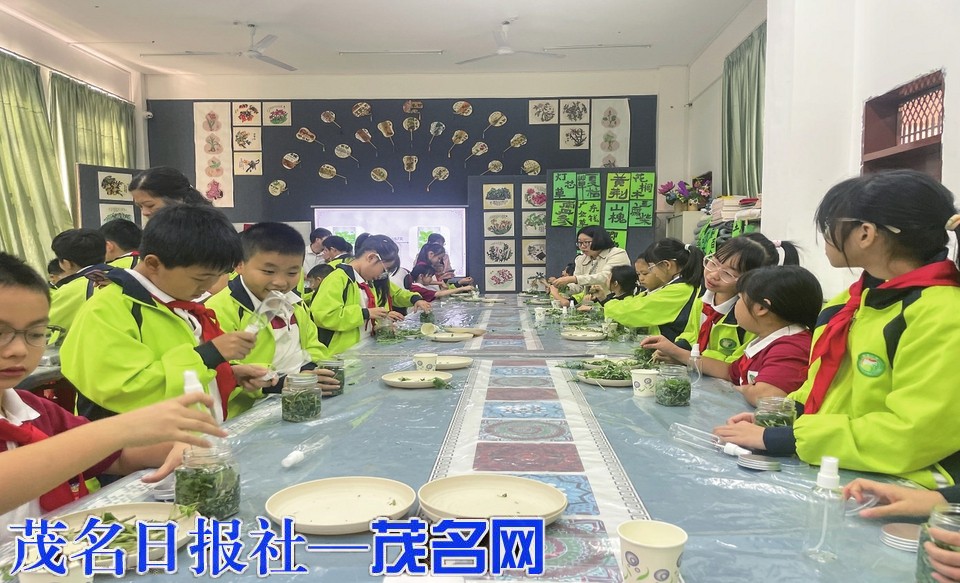 学生零距离感受中医药文化魅力