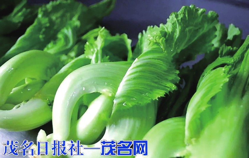 ​茂名特色美食⑨ 一口脆甜的水东芥菜