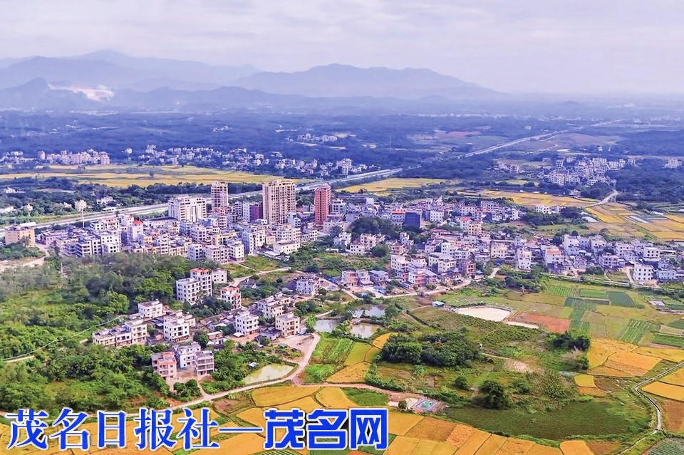 潮涌龙湾畔 策马奋蹄疾