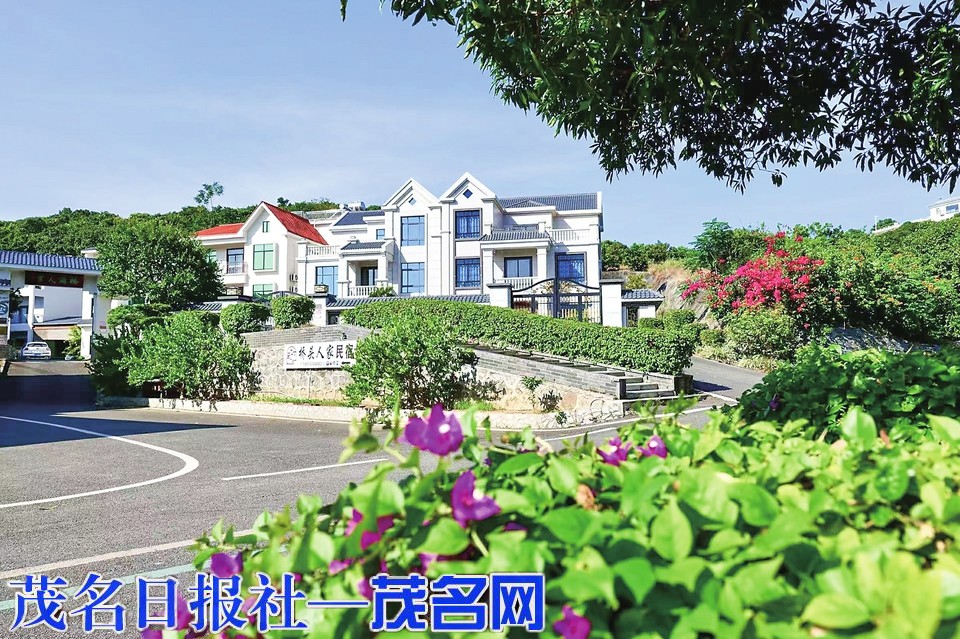 茂名乡村：容得下梦想，担得起未来