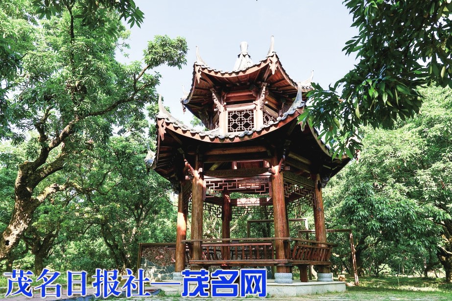 茂名徒步五条线路下周末同时开走 看看你喜欢哪条线路？