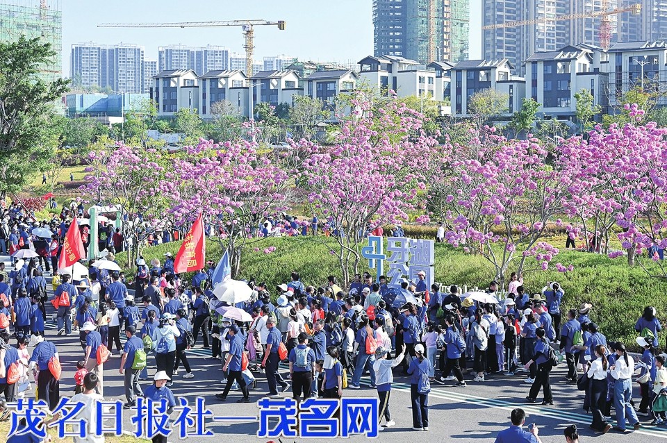 五路齐走看发展 万人同行迎省运
