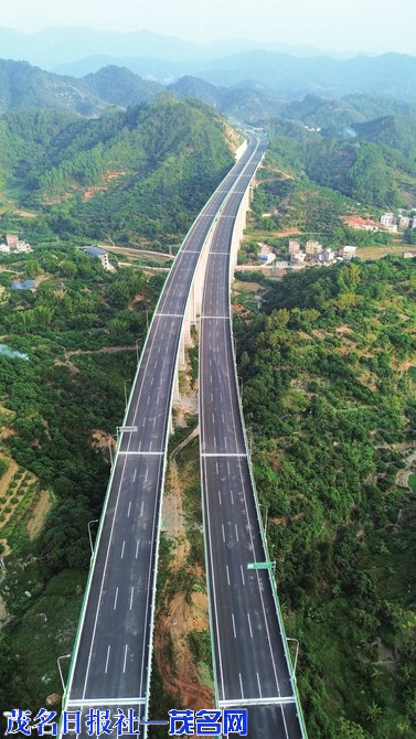 中阳信高速28日凌晨全线通车茂名段免费通车半年 高州市举办大型踏歌徒步活动
