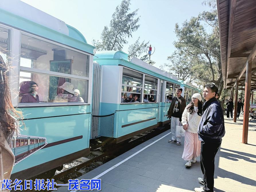 观光小火车受青睐