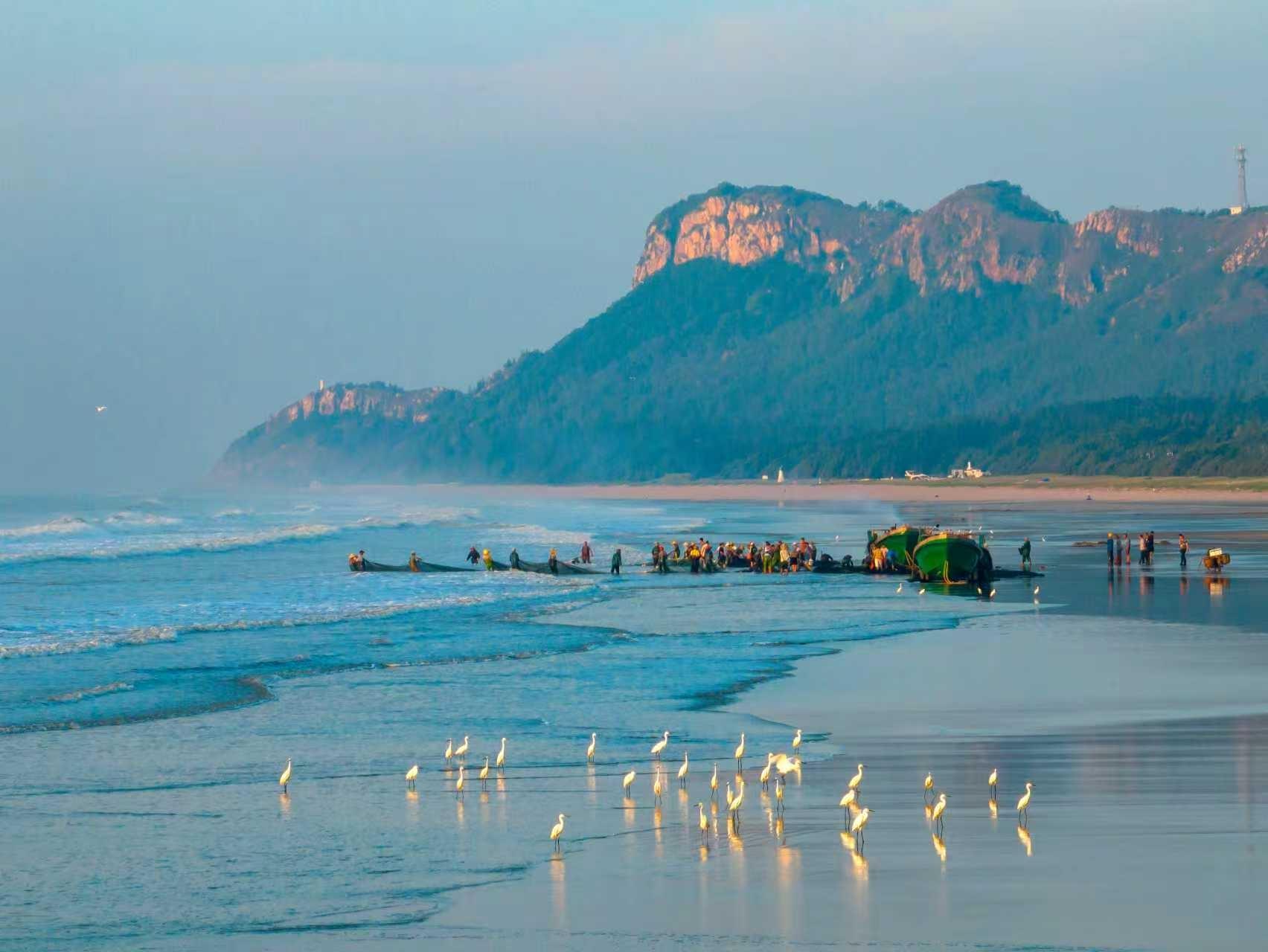 茂名南海岛滩涂白鹭翔集见证生态美