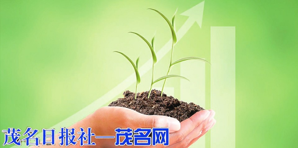 资金流向持续分化