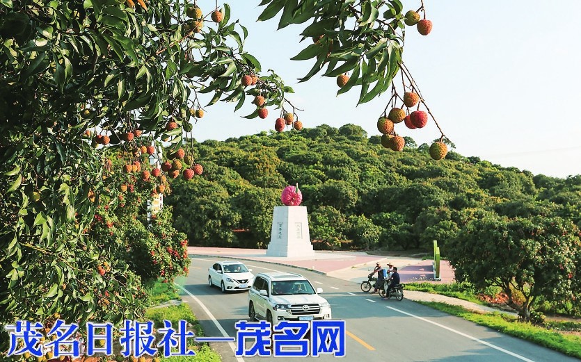 ​茂名以制度赋能驱动农业总产值加快迈向两千亿