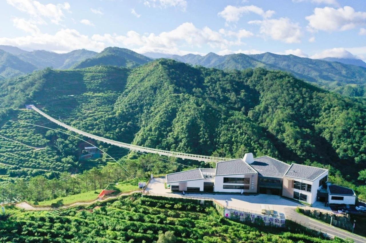 ​“中国李乡”信宜2026李花节即将浪漫“绽放”