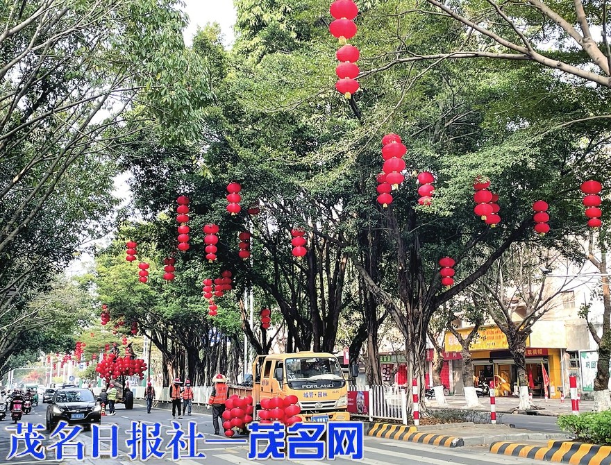 年味渐浓 市区主干道挂起迎春灯笼