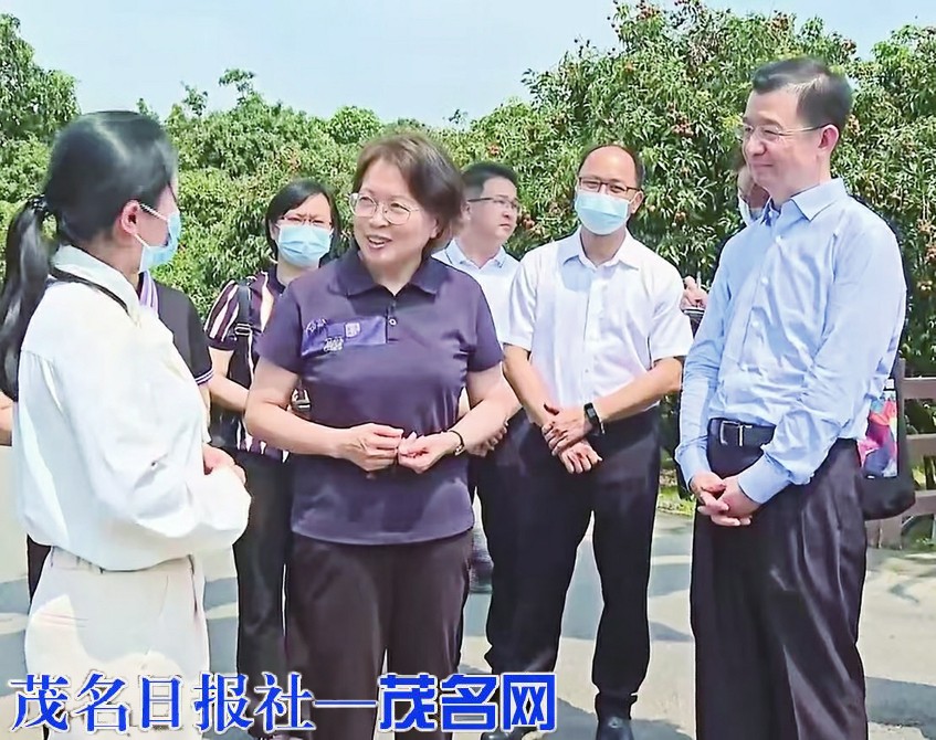 巾帼聚伟力 奋进新征程