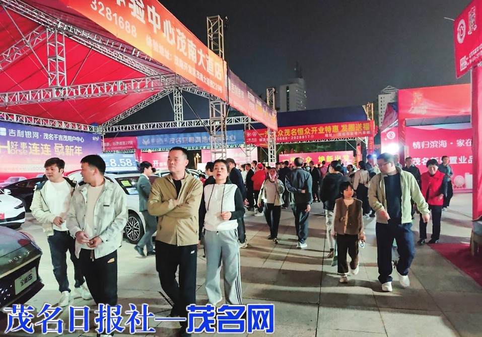 “情归滨海·家在茂名”线上房博会新春不打烊