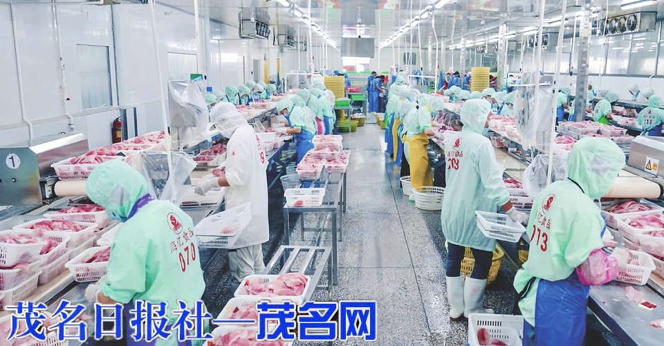 ​茂名普惠金融改革试点落地启新程