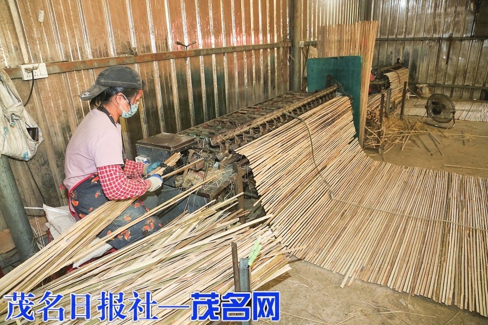 平云山麓竹海生金：一条山坳里的“绿色银行”