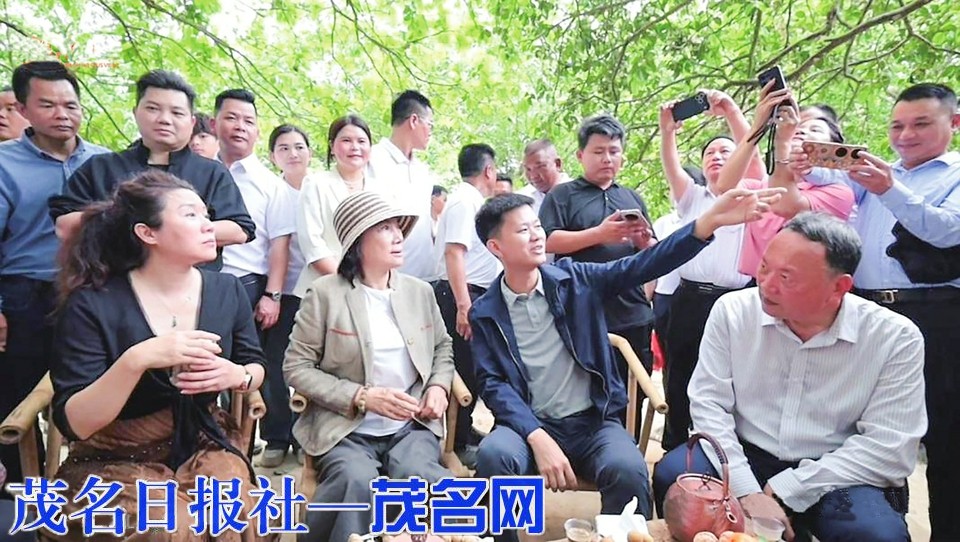 董明珠“支招”化橘红产业：把每一朵花、每一片叶、每一个果都变成宝