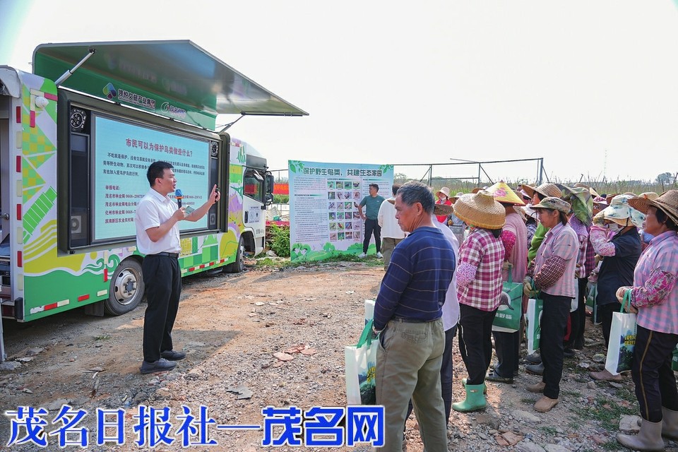 茂名2026年“爱鸟周”全域宣传绘就生态和谐新画卷