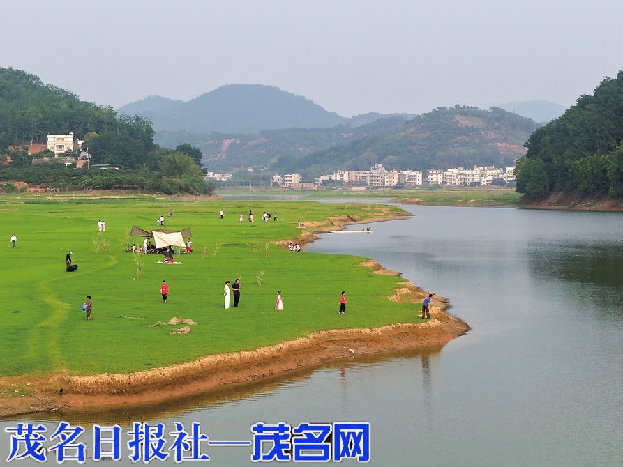 高州平山水坑村水库尾变身天然草场成露营打卡地