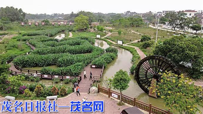 橘香满城春意闹 方寸之间皆风景