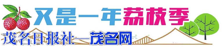 高州市召开2026年荔枝龙眼营销宣传需求对接会