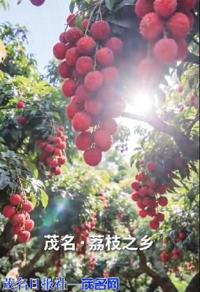 AI赋能传荔韵 谐音破圈话振兴