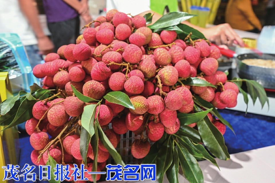 农产品集市热闹开幕：四地好物聚荔乡 共绘产业振兴新图景