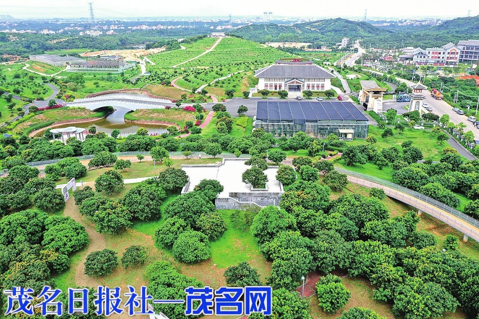 四季皆可游，荔乡不止“红”